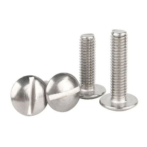 Screw